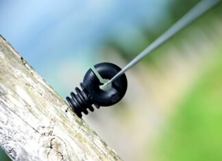 Ile polaków mieszka w Stanach Zjednoczonych?