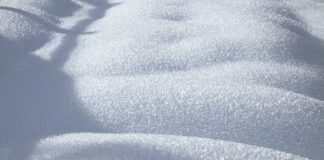 Co oznacza biel na fladze?