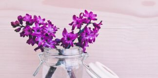 Jak witają się masoni?