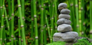 Czy Japonia jest bogatym krajem?