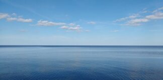 Co oznacza Seu w policji?