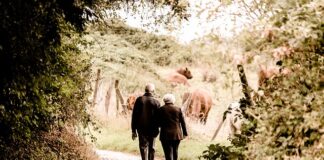 Ile wynosi najniższa emerytura w Stanach?