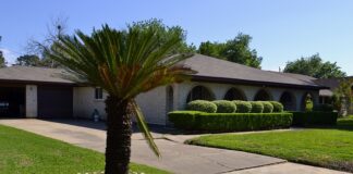 W jakim języku mówi się w Ameryce Południowej?