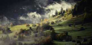 Z czego buduje się domy w USA?