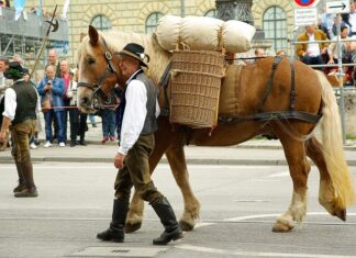 Co jedli chłopi w Polsce?