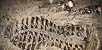 Czy w Dani są oceny?