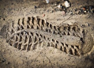 Czy w Dani są oceny?