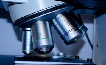 Czy studia w Danii są darmowe?