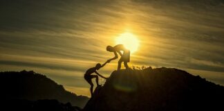 Ile kosztuje jedzenie w Danii?