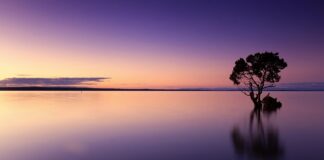 Ile kosztuje butelka wody w samolocie?