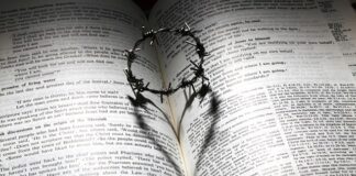 Ile kosztuje korona duńska w PKO?