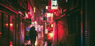 Jaki jest język urzędowy w Danii?