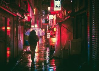 Jaki jest język urzędowy w Danii?