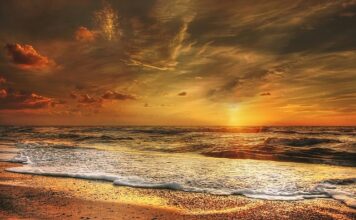 Czy Dania rezygnuję z gotówki?