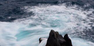 Jaka jest cena chleba w Danii?