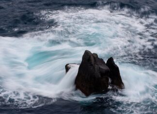 Jaka jest cena chleba w Danii?