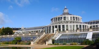 Czy w Kopenhadze wieje?