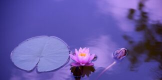 Jak długo trwa dzień w Norwegii?