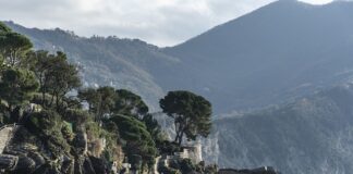 Ile kosztuje wyprodukowanie 1 Red Bulla?