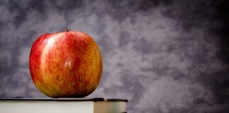 Ile jest klas w Danii?