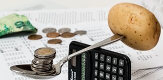 Ile kosztuje miesięczne utrzymanie w Danii?