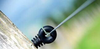 Ile procent Polaków płaci gotówką?