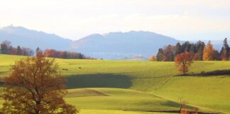 Ile brutto to netto dania?