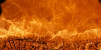 Jaka jest najlepsza marka piwa?