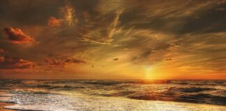 Czy w Danii można płacić gotówką?