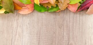 Czy e dowód uprawnia do przekroczenia granicy?