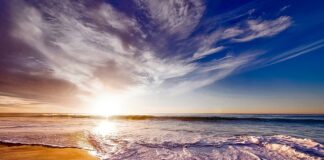 Co powoduje częste picie piwa?