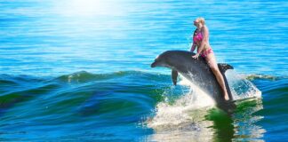 Ile się jedzie z Danii do Polski?