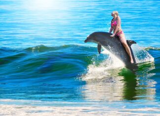 Ile się jedzie z Danii do Polski?
