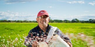 Z jakich upraw słynie Dania?