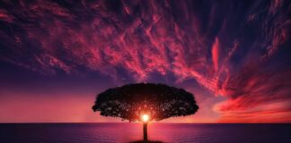 Gdzie nad morze w Danii?